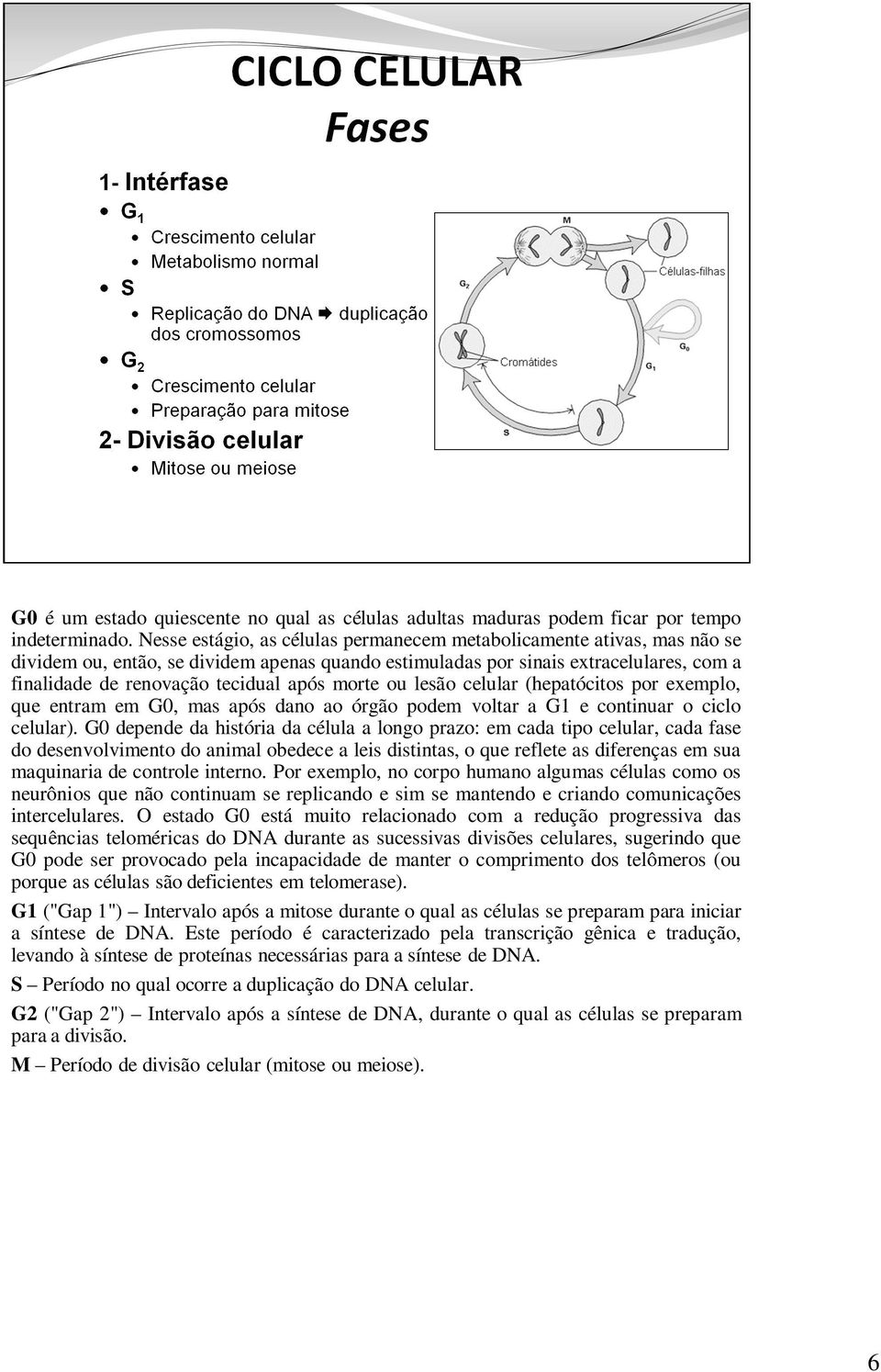 morte ou lesão celular (hepatócitos por exemplo, que entram em G0, mas após dano ao órgão podem voltar a G1 e continuar o ciclo celular).