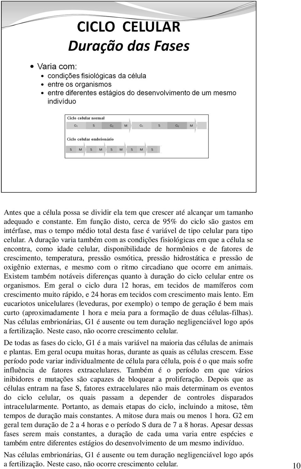 A duração varia também com as condições fisiológicas em que a célula se encontra, como idade celular, disponibilidade de hormônios e de fatores de crescimento, temperatura, pressão osmótica, pressão