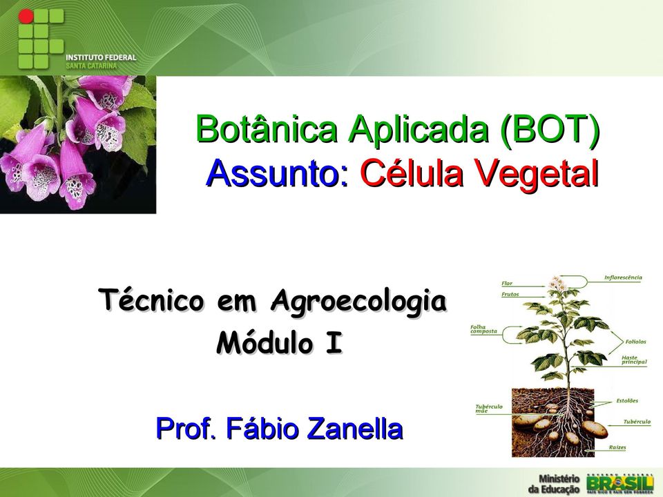 Técnico em Agroecologia