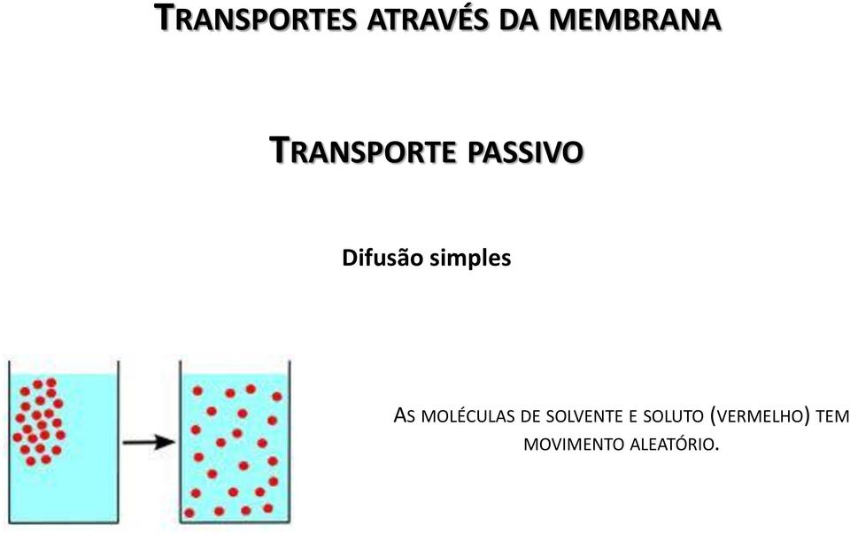 simples AS MOLÉCULAS DE SOLVENTE