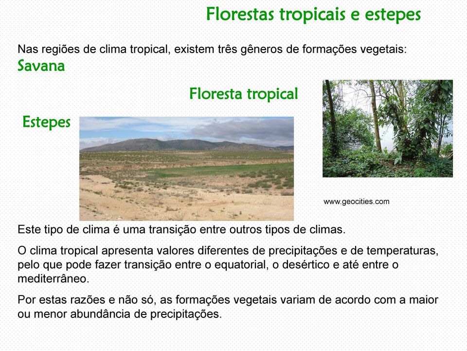 O clima tropical apresenta valores diferentes de precipitações e de temperaturas, pelo que pode fazer transição entre o