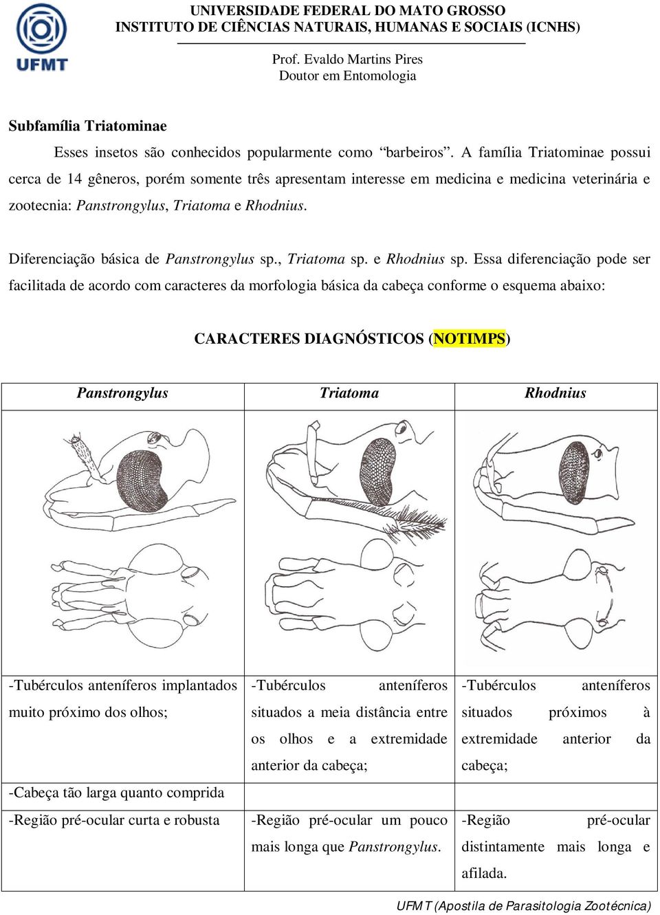 Diferenciação básica de Panstrongylus sp., Triatoma sp. e Rhodnius sp.