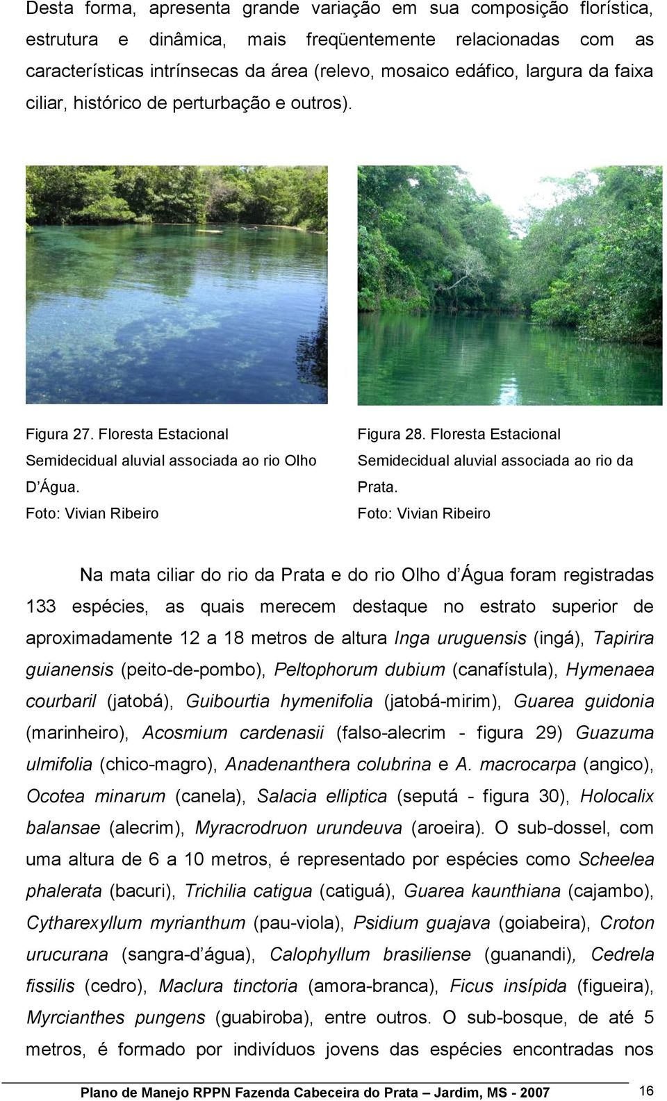 Floresta Estacional Semidecidual aluvial associada ao rio da Prata.