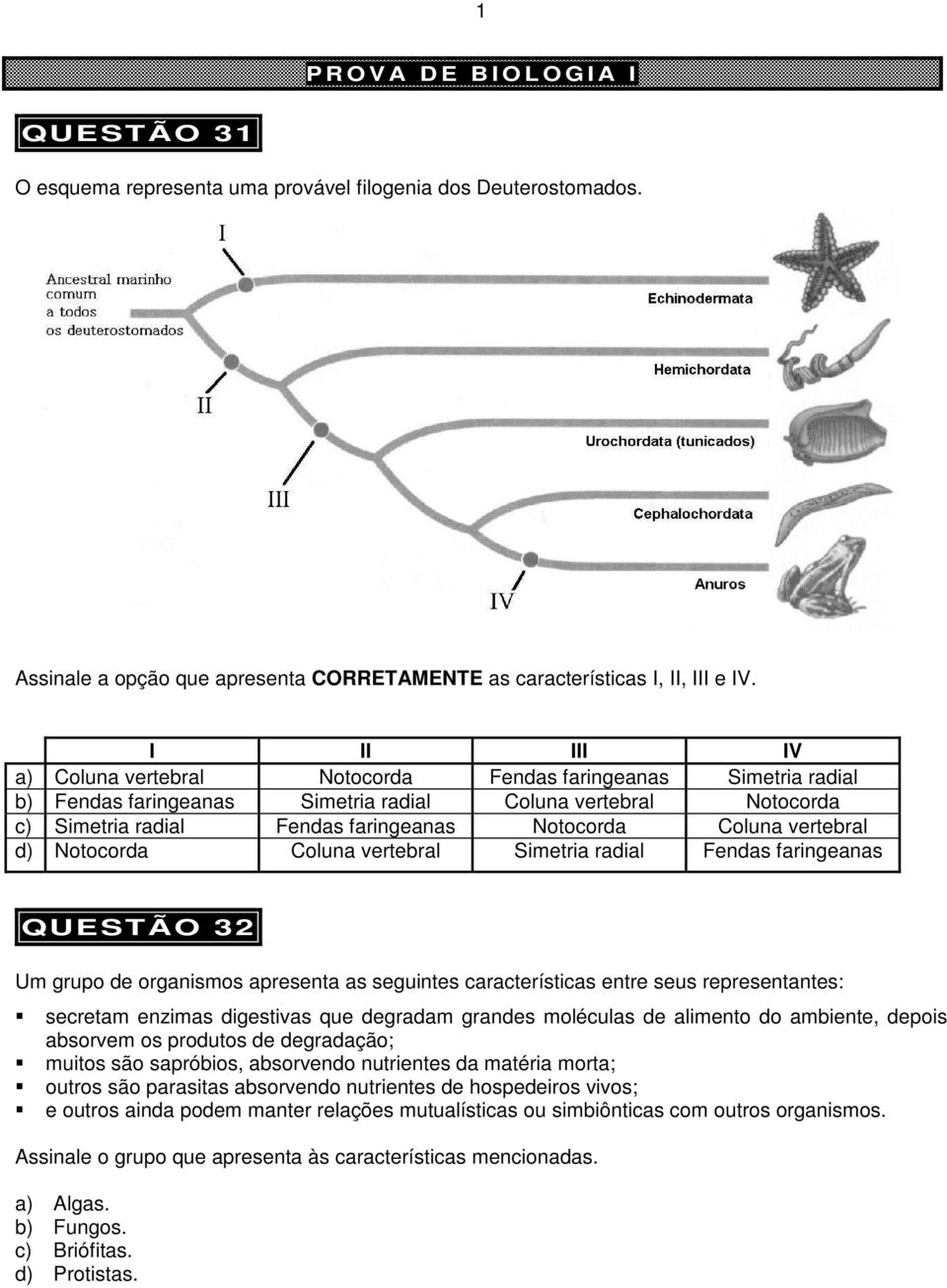 vertebral d) Notocorda Coluna vertebral Simetria radial Fendas faringeanas QUESTÃO 32 Um grupo de organismos apresenta as seguintes características entre seus representantes: secretam enzimas