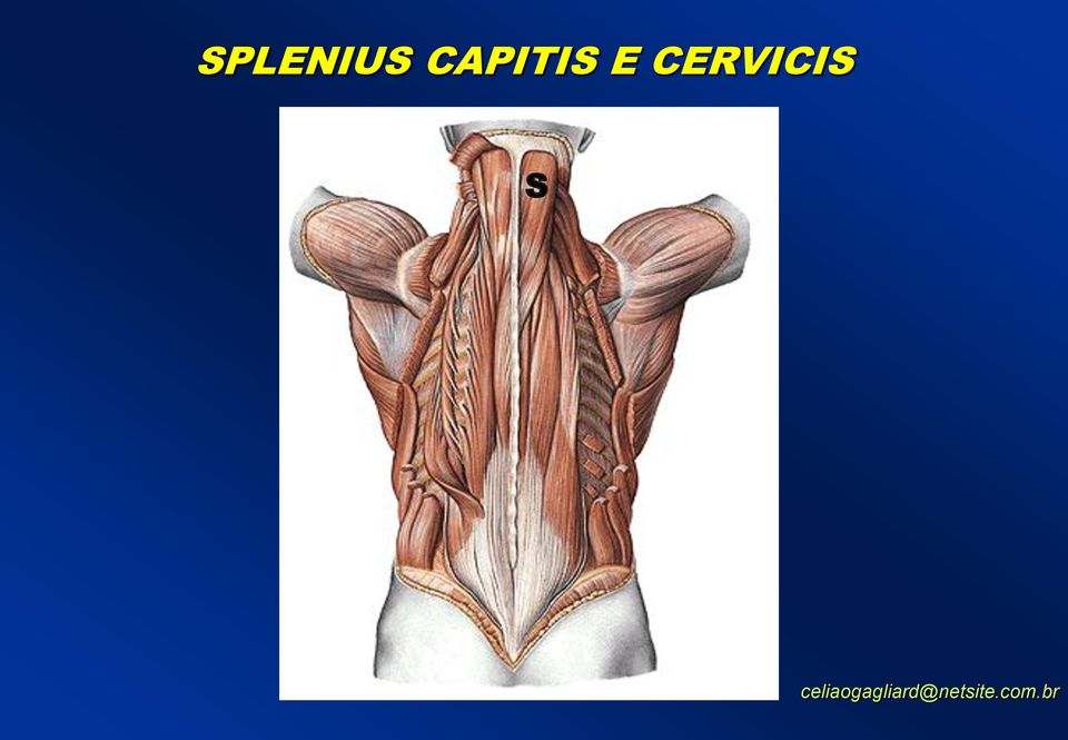 CERVICIS S