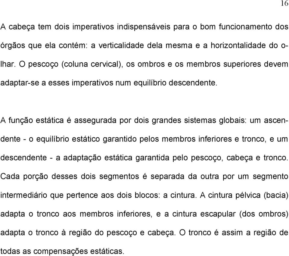 A função estática é assegurada por dois grandes sistemas globais: um ascendente - o equilíbrio estático garantido pelos membros inferiores e tronco, e um descendente - a adaptação estática garantida