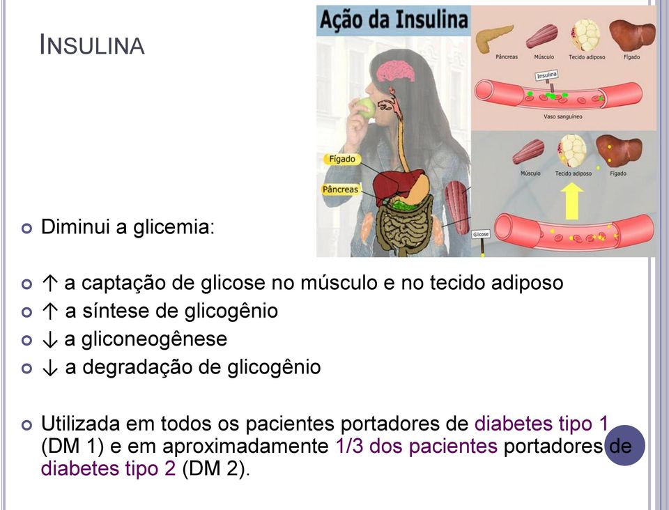 glicogênio Utilizada em todos os pacientes portadores de diabetes tipo 1