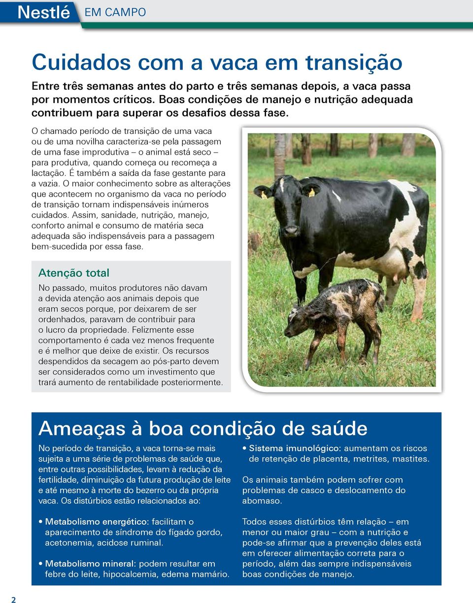 O chamado período de transição de uma vaca ou de uma novilha caracteriza-se pela passagem de uma fase improdutiva o animal está seco para produtiva, quando começa ou recomeça a lactação.