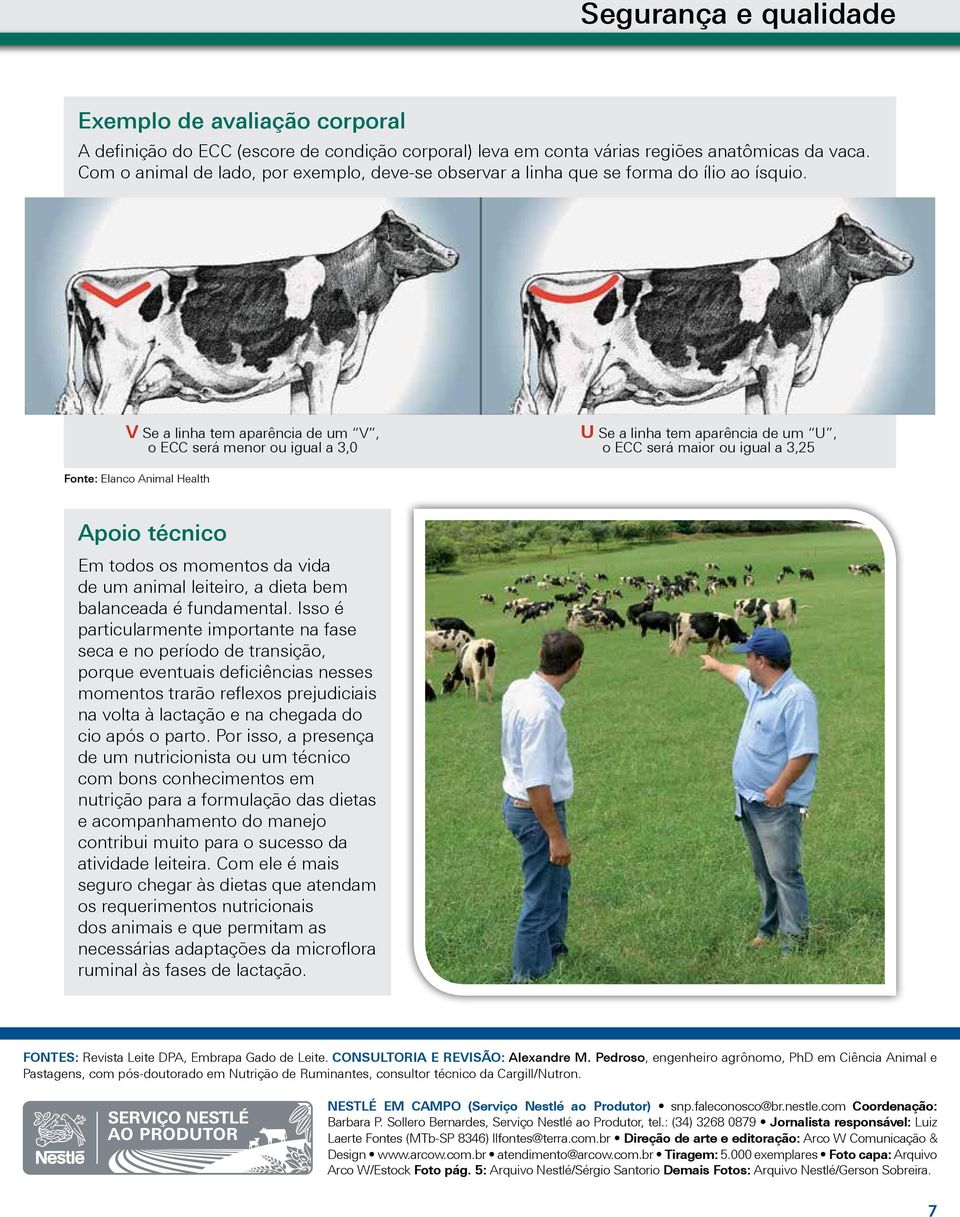 V Se a linha tem aparência de um V, o ECC será menor ou igual a 3,0 U Se a linha tem aparência de um U, o ECC será maior ou igual a 3,25 Fonte: Elanco Animal Health Apoio técnico Em todos os momentos