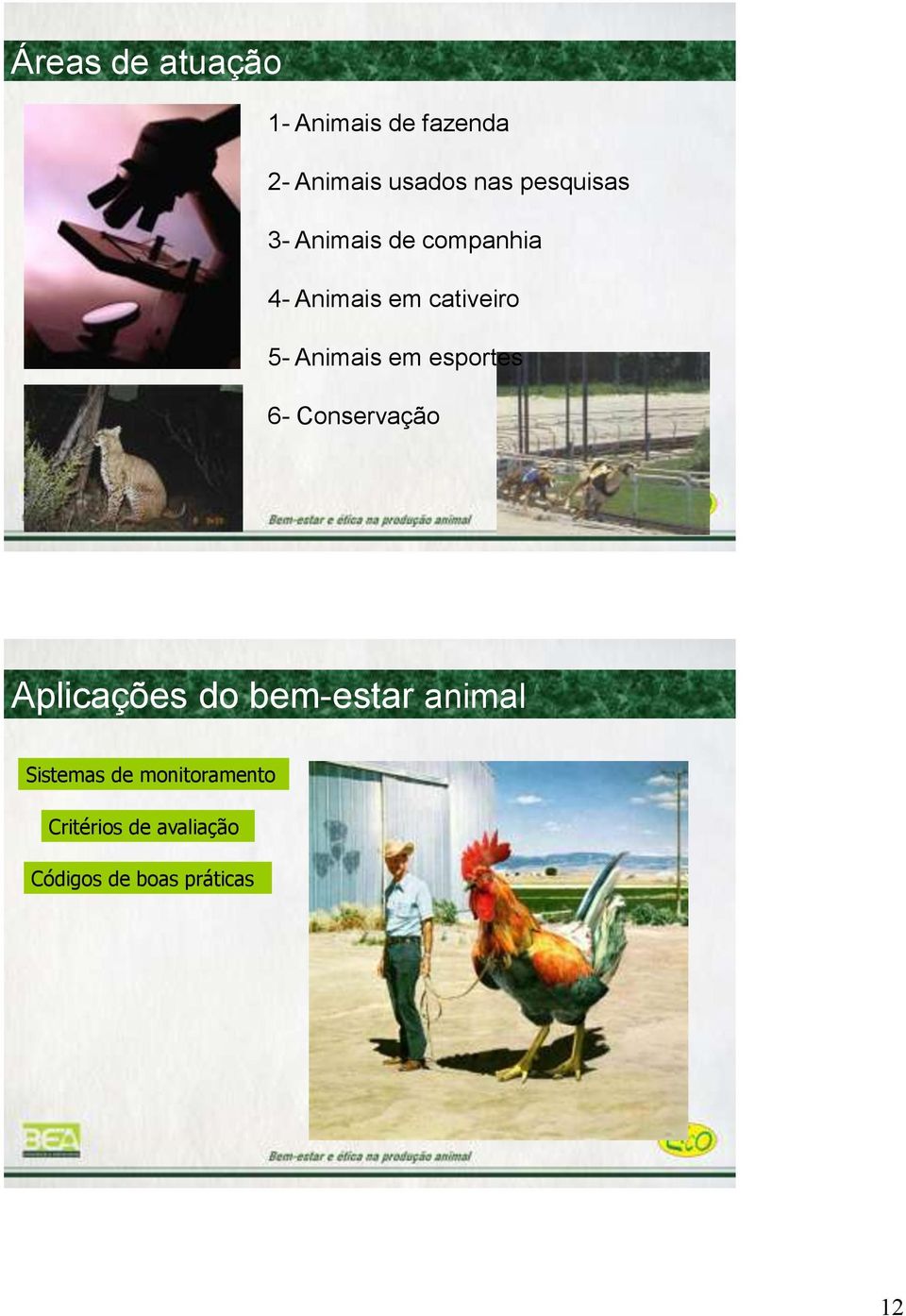 Animais em esportes 6- Conservação Aplicações do bem-estar animal