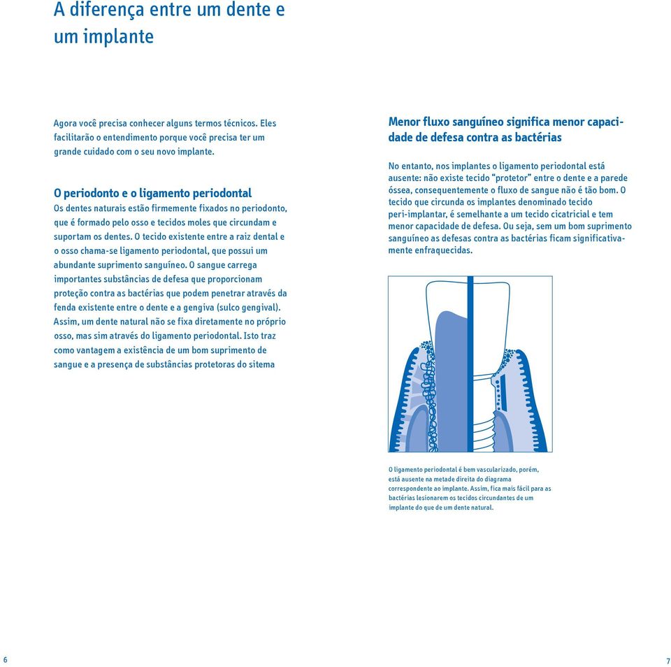 O tecido existente entre a raiz dental e o osso chama-se ligamento periodontal, que possui um abundante suprimento sanguíneo.