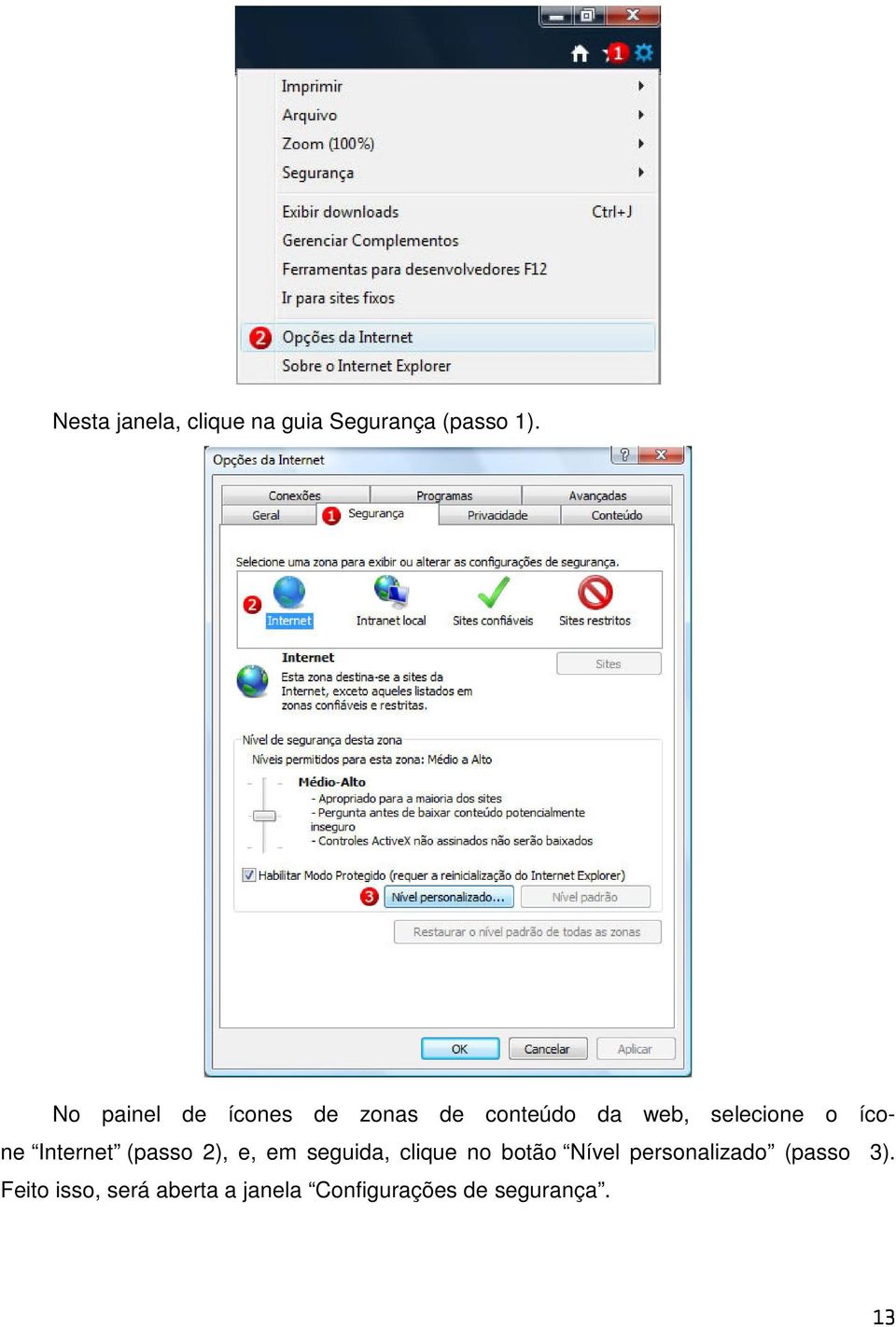 ícone Internet (passo 2), e, em seguida, clique no botão Nível