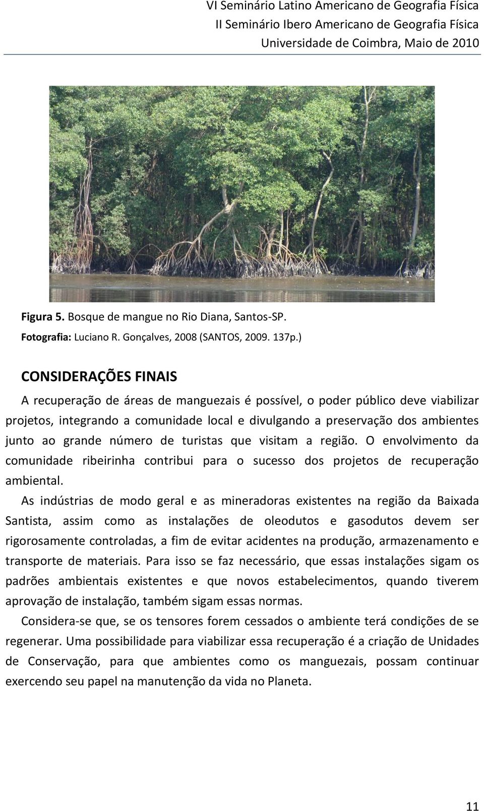) CONSIDERAÇÕES FINAIS A recuperação de áreas de manguezais é possível, o poder público deve viabilizar projetos, integrando a comunidade local e divulgando a preservação dos ambientes junto ao