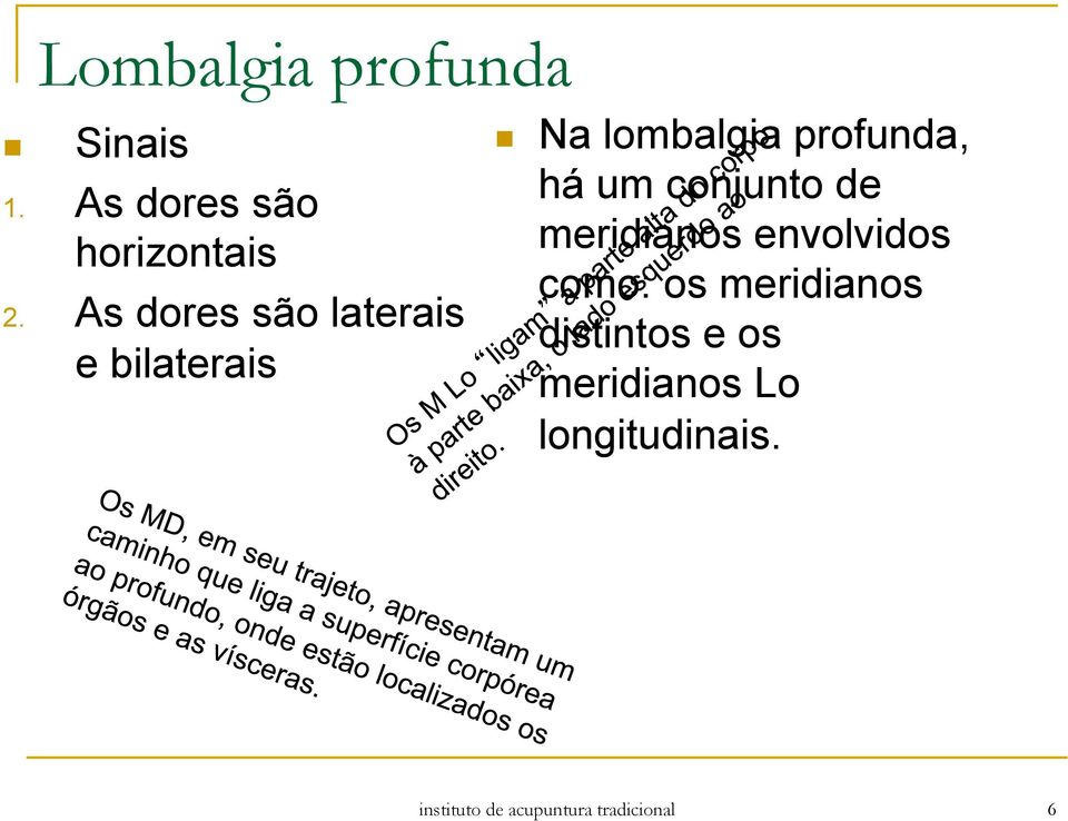 um conjunto de meridianos envolvidos como: os meridianos