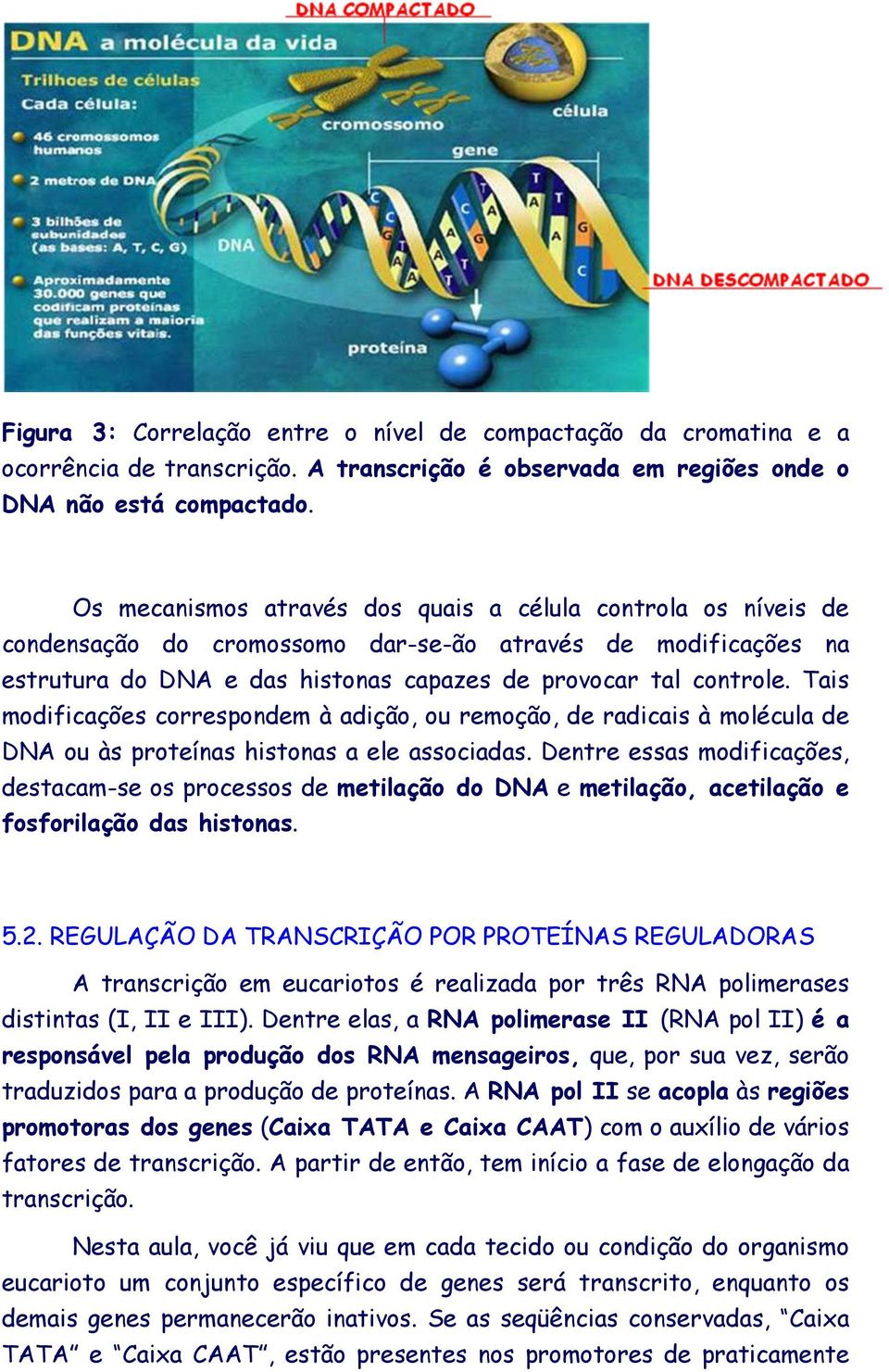 Tais modificações correspondem à adição, ou remoção, de radicais à molécula de DNA ou às proteínas histonas a ele associadas.