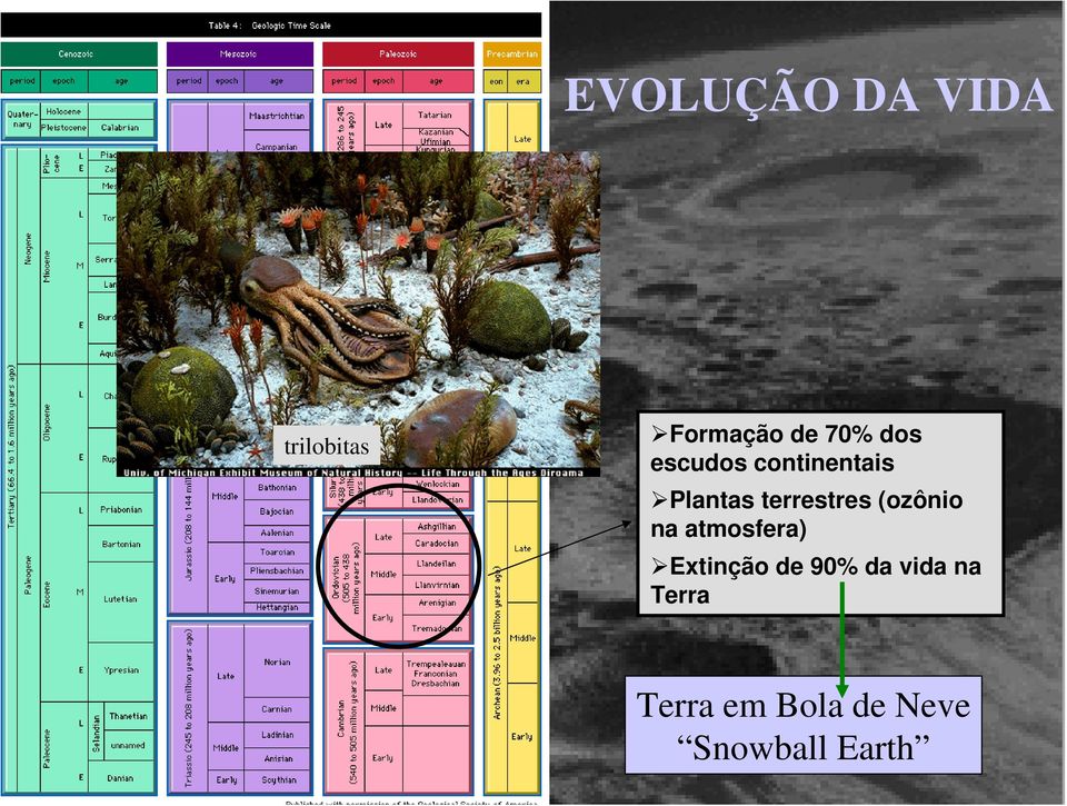 (ozônio na atmosfera) Extinção de 90% da