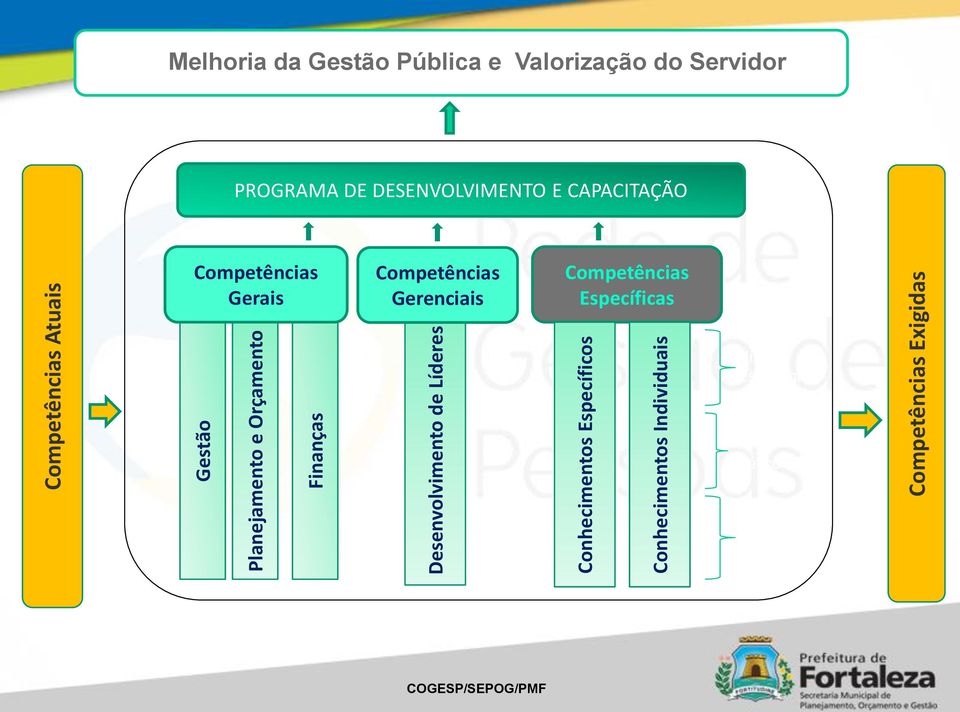 Pública e Valorização do Servidor PROGRAMA DE DESENVOLVIMENTO E CAPACITAÇÃO Competências