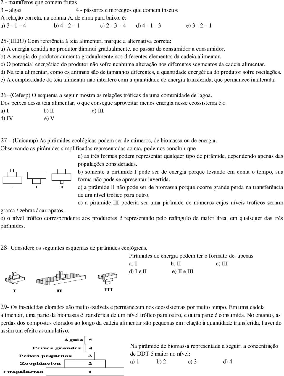 b) A energia do produtor aumenta gradualmente nos diferentes elementos da cadeia alimentar.