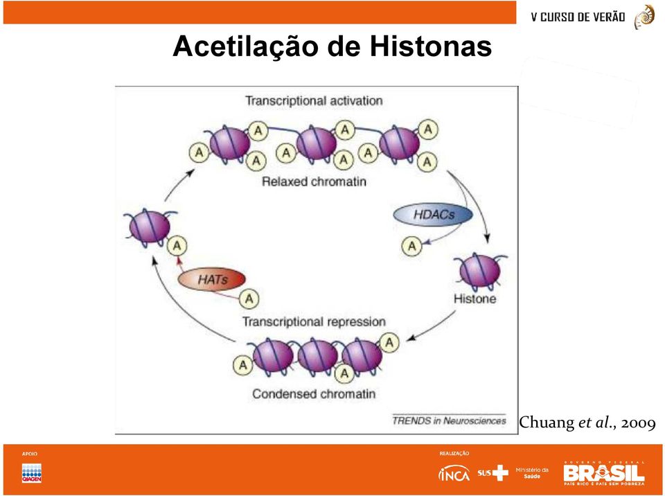 Histonas