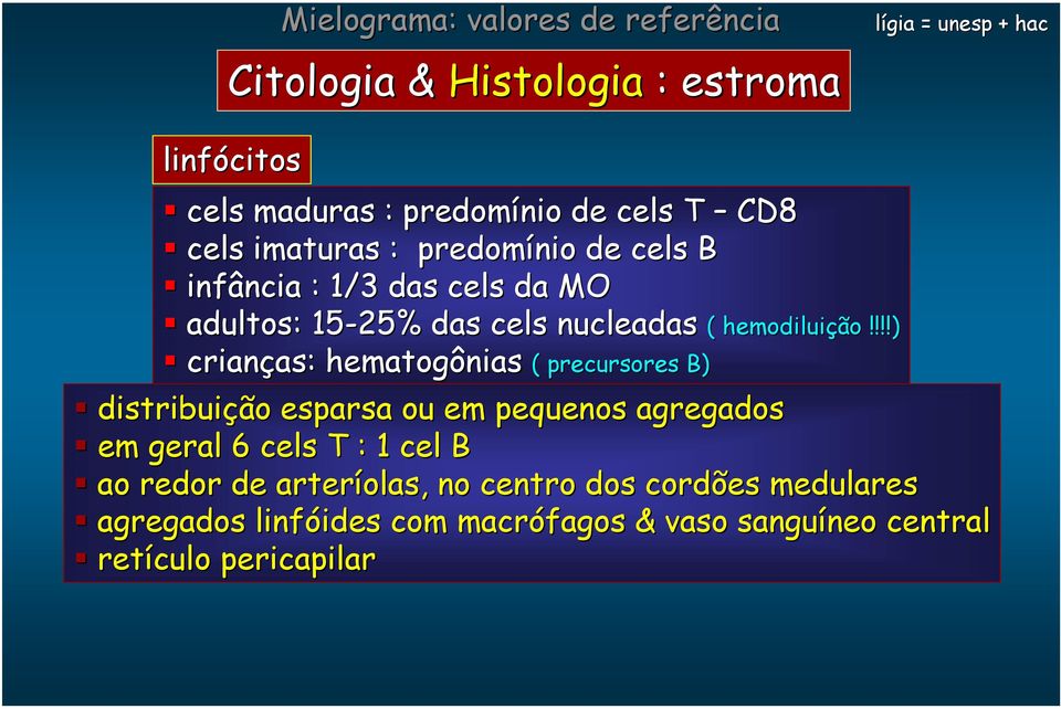 hematogônias ( precursores B) ( hemodiluição!