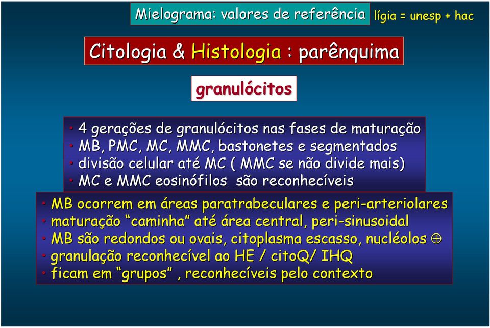 reconhecíveis MB ocorrem em áreas paratrabeculares e peri-arteriolares maturação caminha até área central, peri-sinusoidal MB