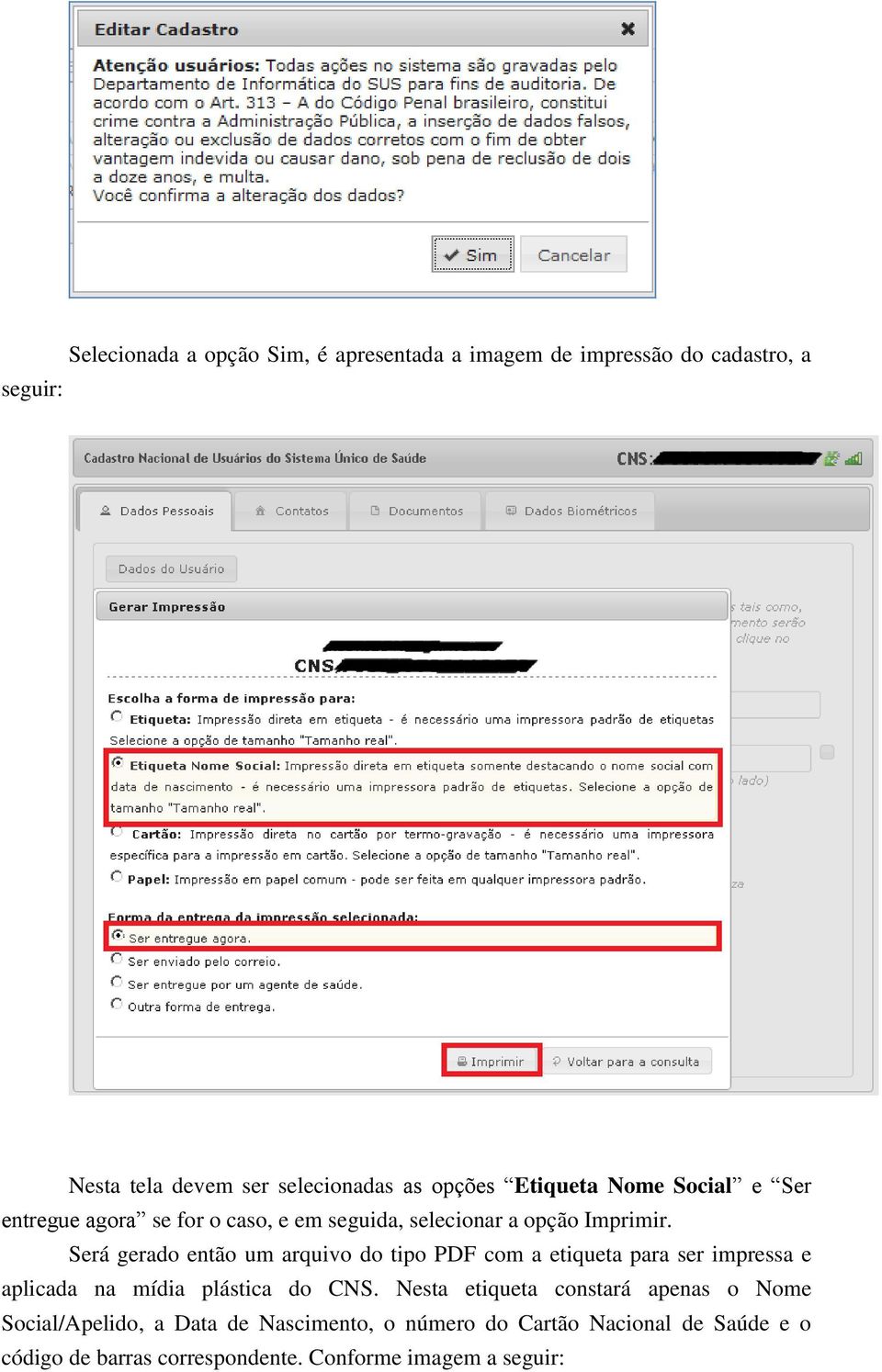 Será gerado então um arquivo do tipo PDF com a etiqueta para ser impressa e aplicada na mídia plástica do CNS.