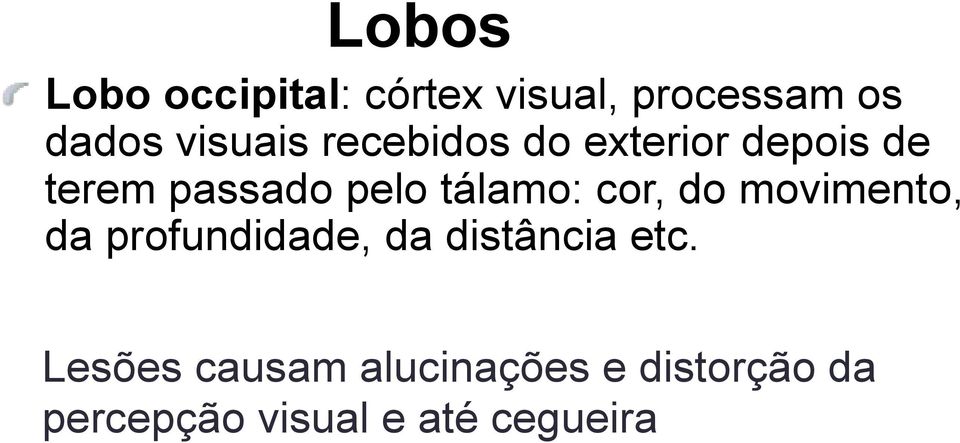 tálamo: cor, do movimento, da profundidade, da distância etc.