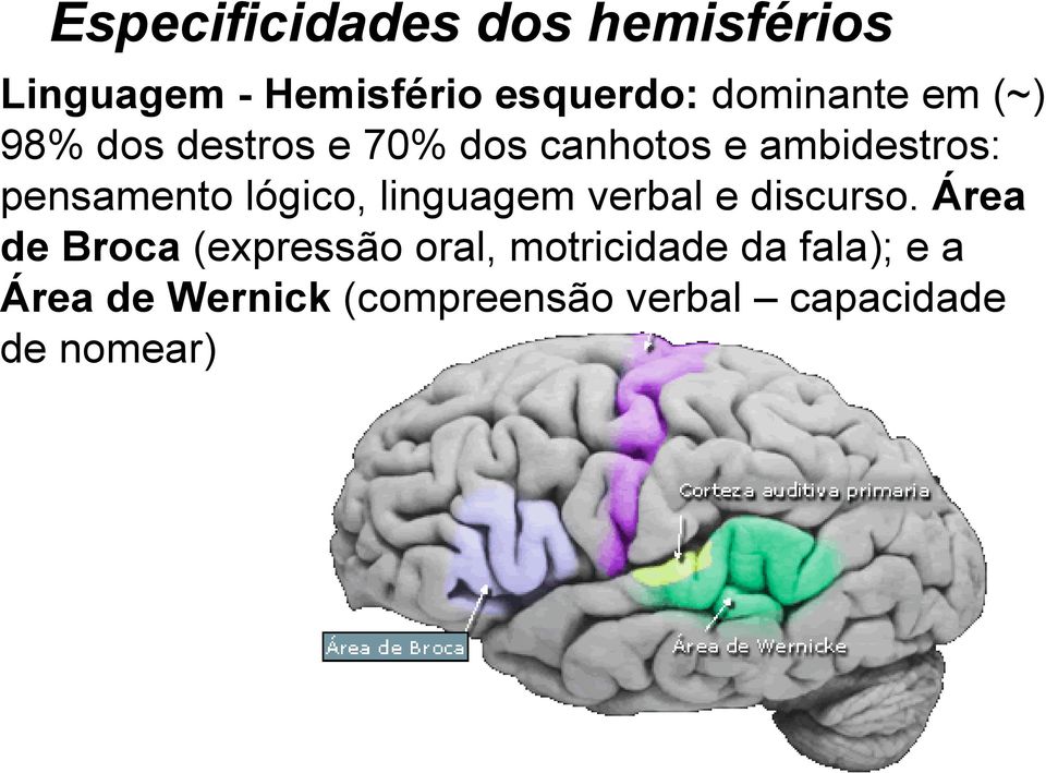 pensamento lógico, linguagem verbal e discurso.