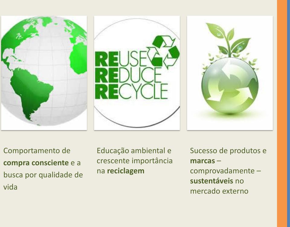 importância na reciclagem Sucesso de produtos e