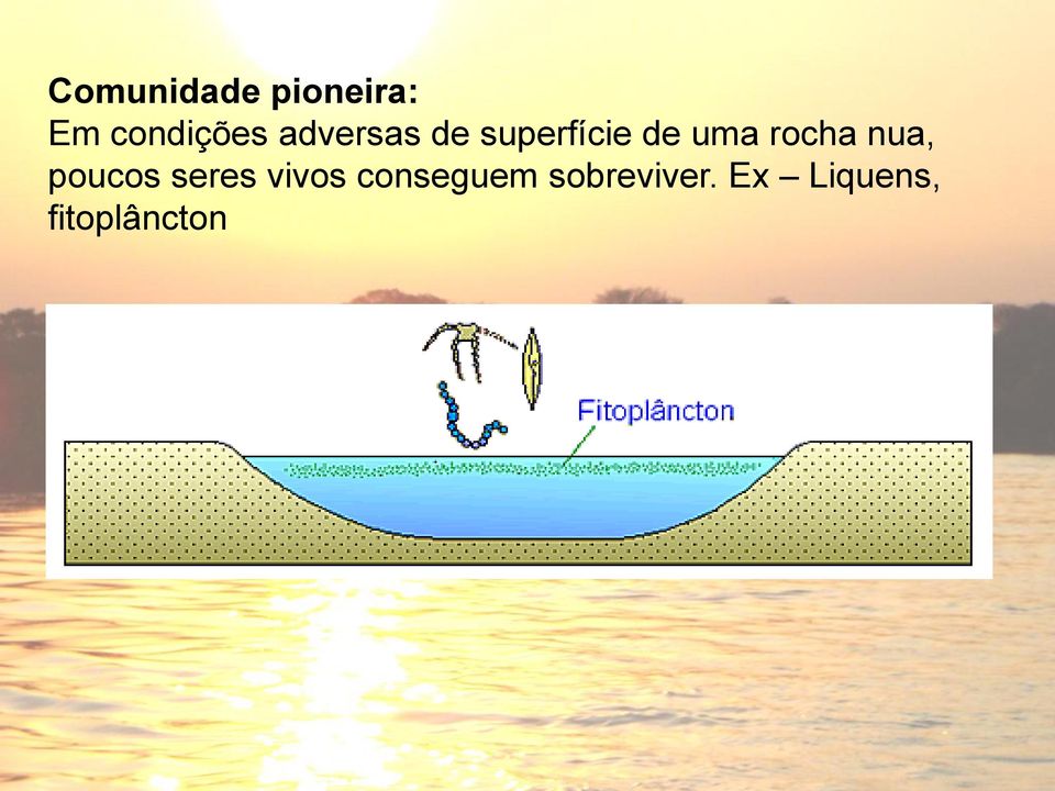 rocha nua, poucos seres vivos