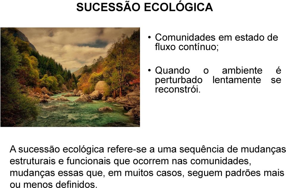A sucessão ecológica refere-se a uma sequência de mudanças estruturais
