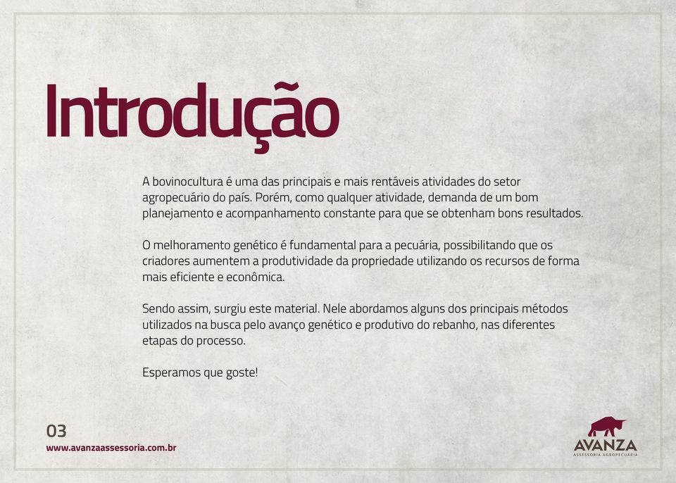 O melhoramento genético é fundamental para a pecuária, possibilitando que os criadores aumentem a produtividade da propriedade utilizando os recursos de