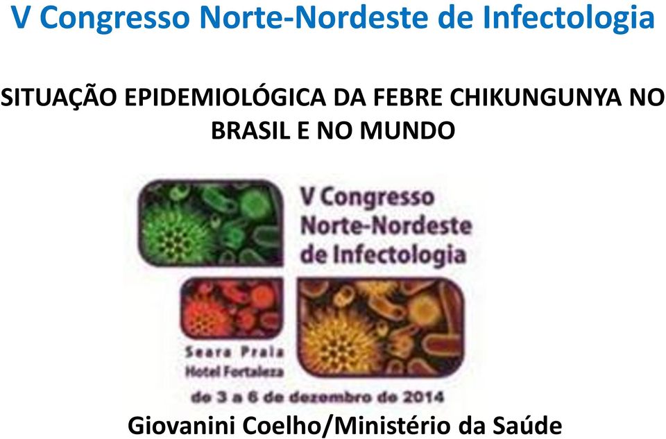 DA FEBRE CHIKUNGUNYA NO BRASIL E NO