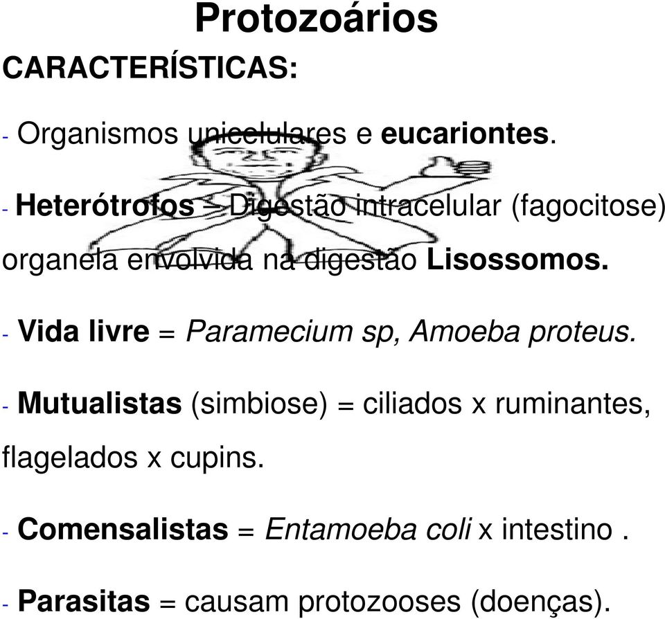 - Vida livre = Paramecium sp, Amoeba proteus.
