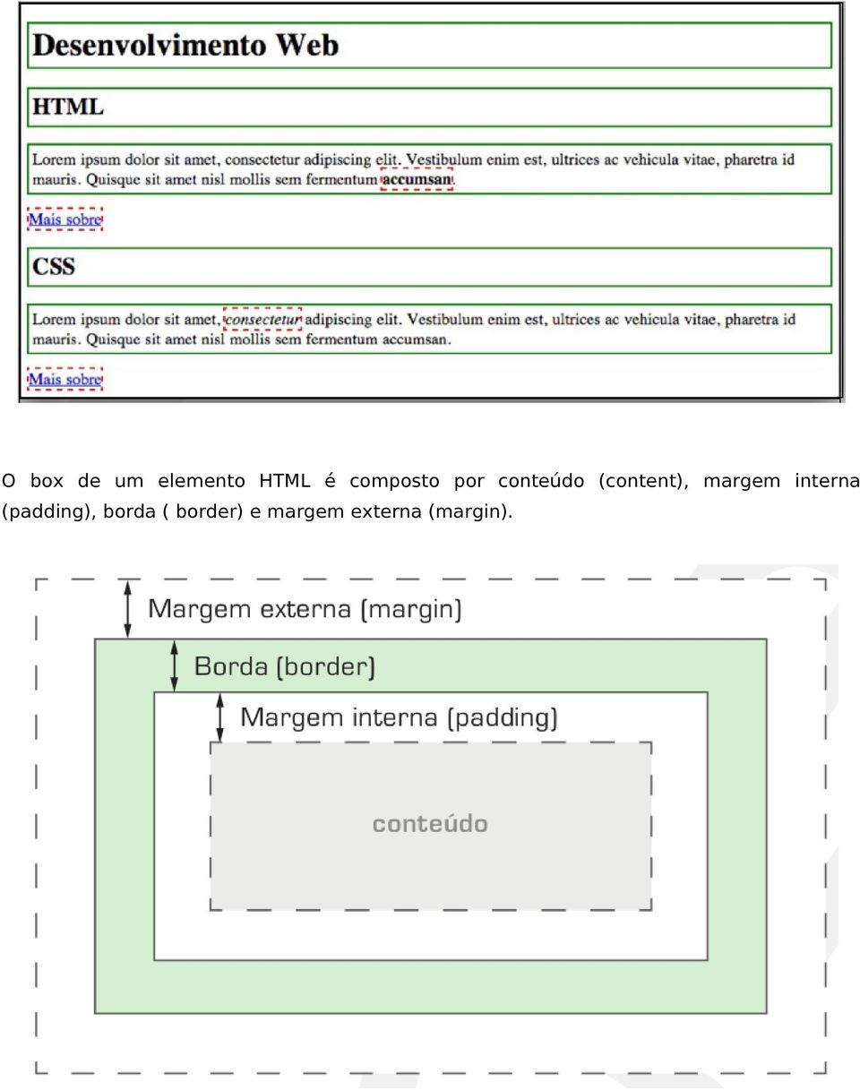 margem interna (padding), borda