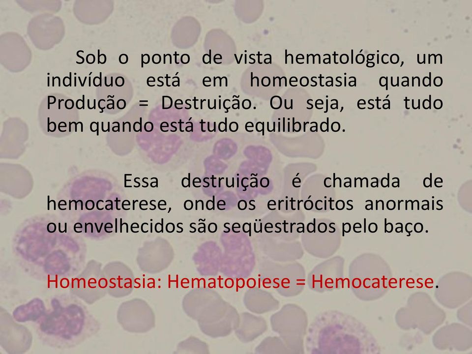 Essa destruição é chamada de hemocaterese, onde os eritrócitos anormais ou