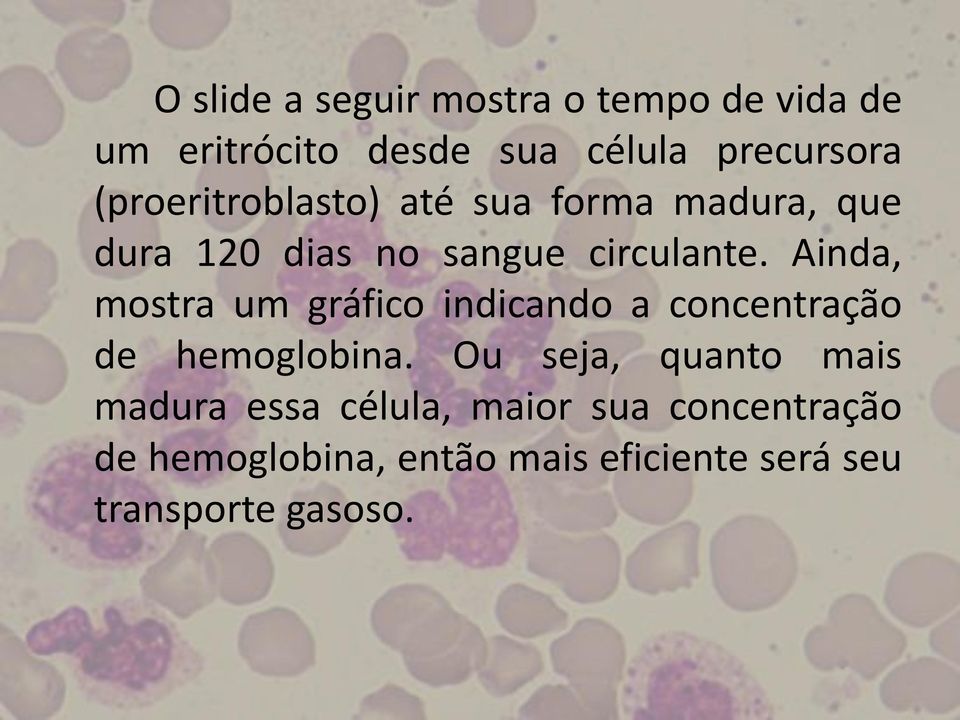 Ainda, mostra um gráfico indicando a concentração de hemoglobina.