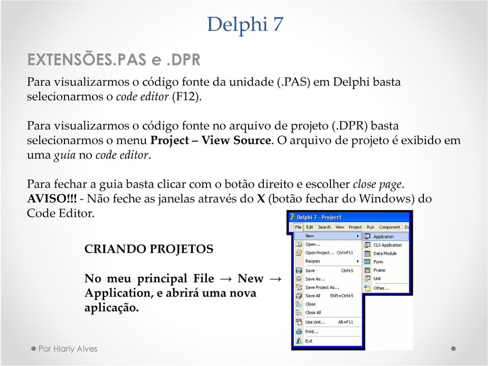 dpr) basta selecionarmosomenuproject ViewSource.Oarquivodeprojetoéexibidoem umaguianocodeeditor.