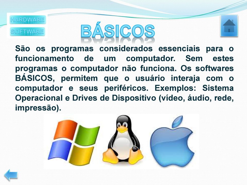 Os softwares BÁSICOS, permitem que o usuário interaja com o computador e