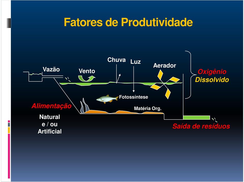 Alimentação Natural e / ou Artificial