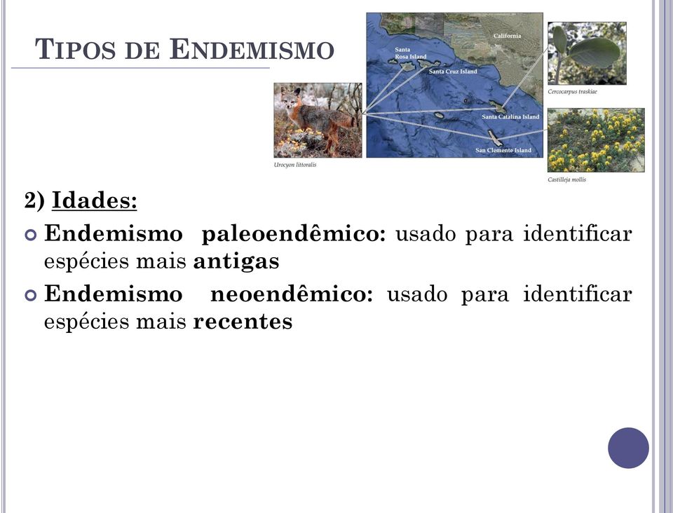 espécies mais antigas Endemismo