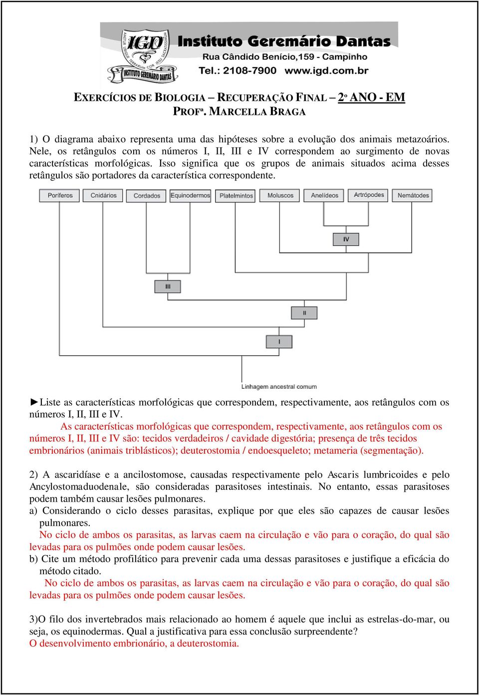 Isso significa que os grupos de animais situados acima desses retângulos são portadores da característica correspondente.