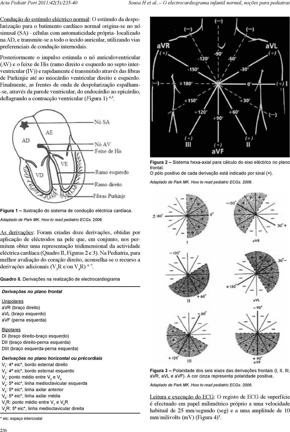 Posteriormente o impulso estimula o nó auriculoventricular (AV) e o feixe de His (ramo direito e esquerdo no septo interventricular (IV)) e rapidamente é transmitido através das fibras de Purkinjie