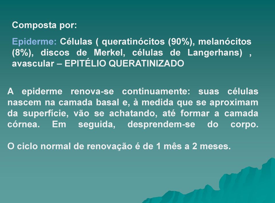 células nascem na camada basal e, à medida que se aproximam da superfície, vão se achatando, até