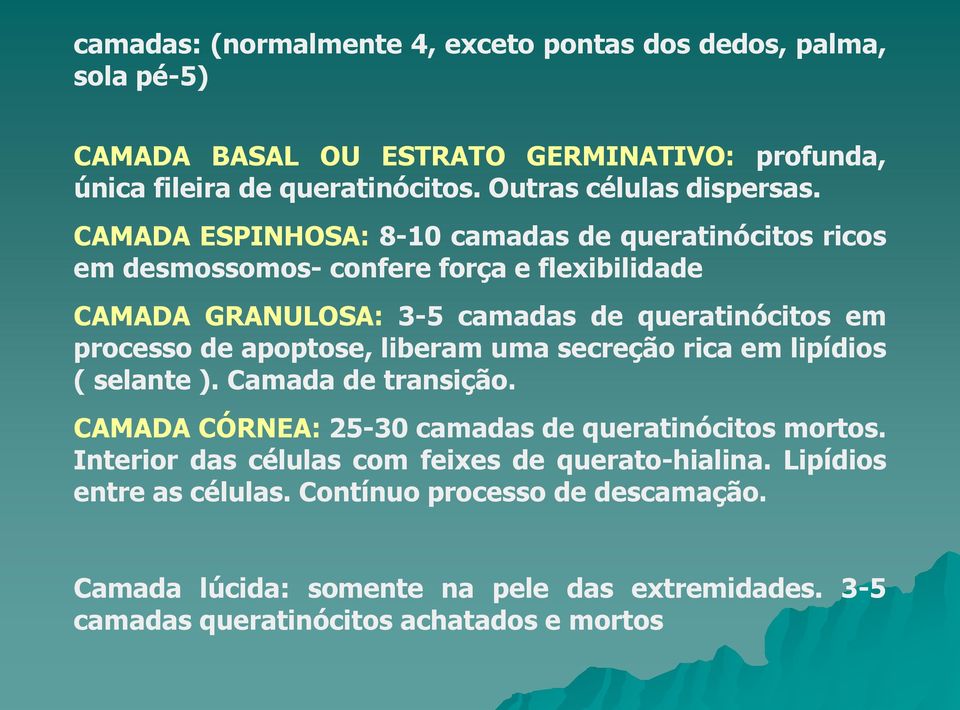 CAMADA ESPINHOSA: 8-10 camadas de queratinócitos ricos em desmossomos- confere força e flexibilidade CAMADA GRANULOSA: 3-5 camadas de queratinócitos em processo de