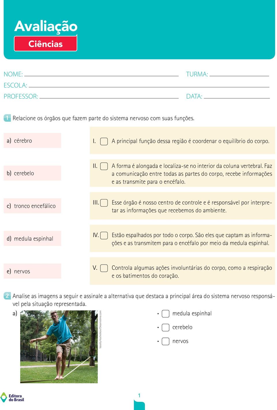 Faz a comunicação entre todas as partes do corpo, recebe informações e as transmite para o encéfalo. c) tronco encefálico III.