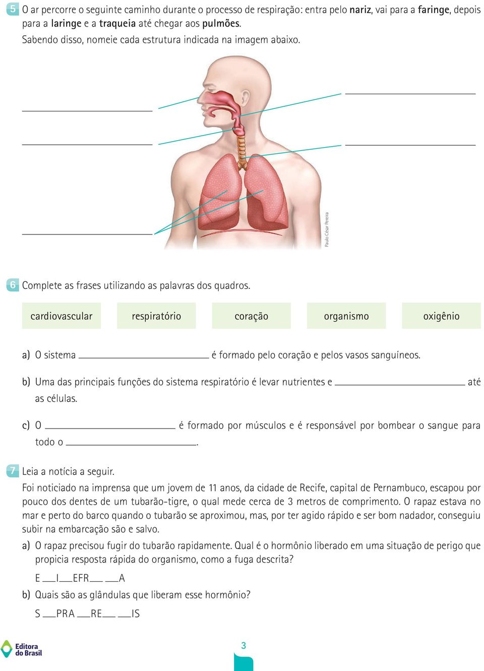 cardiovascular respiratório coração organismo oxigênio a) O sistema é formado pelo coração e pelos vasos sanguíneos.