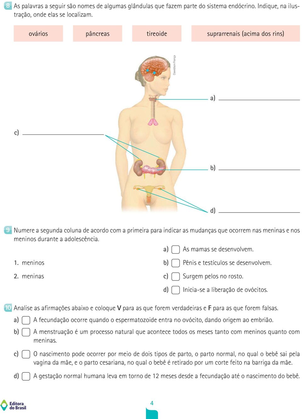 durante a adolescência. a) As mamas se desenvolvem. 1. meninos 2. meninas b) Pênis e testículos se desenvolvem. c) Surgem pelos no rosto. d) Inicia-se a liberação de ovócitos.