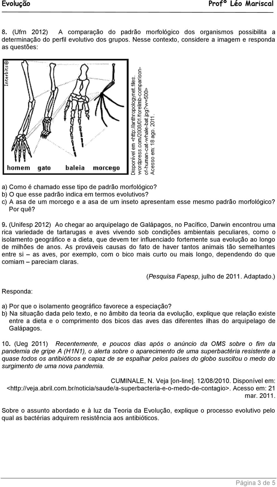 c) A asa de um morcego e a asa de um inseto apresentam esse mesmo padrão morfológico? Por quê? 9.