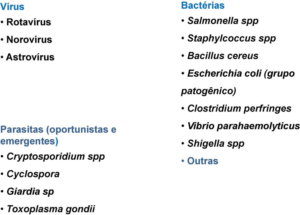 Bactérias Salmonella spp Staphylcoccus spp Bacillus cereus Escherichia
